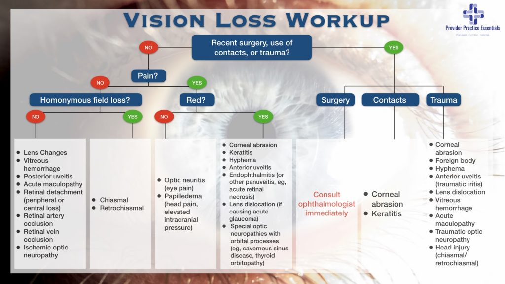 vision loss workup graph