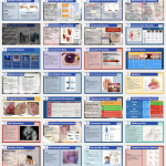 Flash Card Review