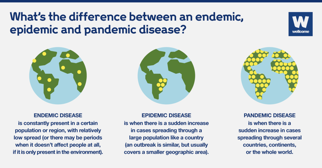 When a Pandemic becomes endemic